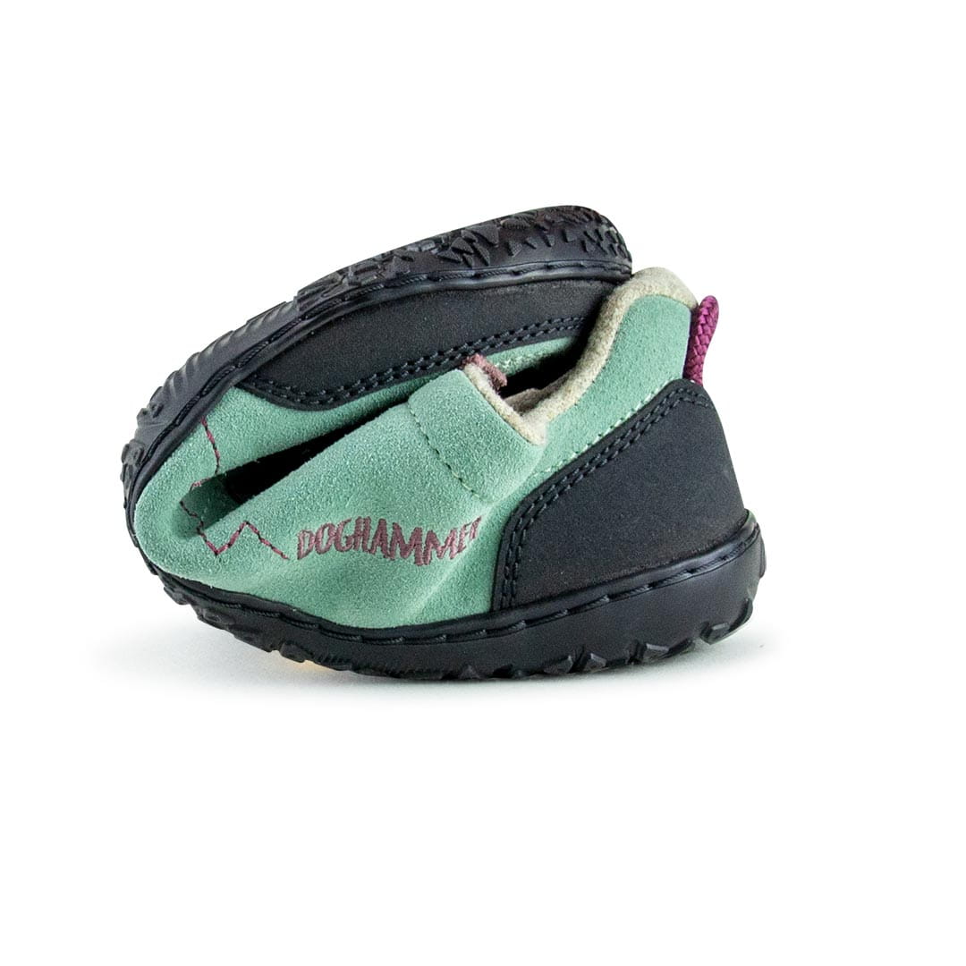 DOGHAMMER Terrar Rock Wool