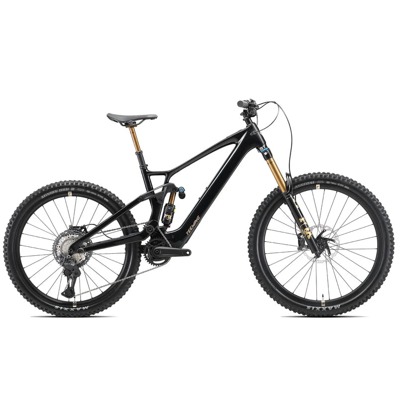 TEEWING FLUX ONE PRO E-MTB AVINOX M2S