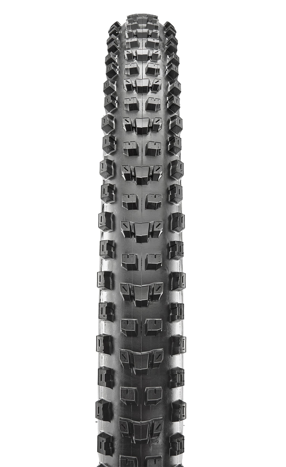 MAXXIS Dissector – offizielle Herstelleransicht des Reifenprofils