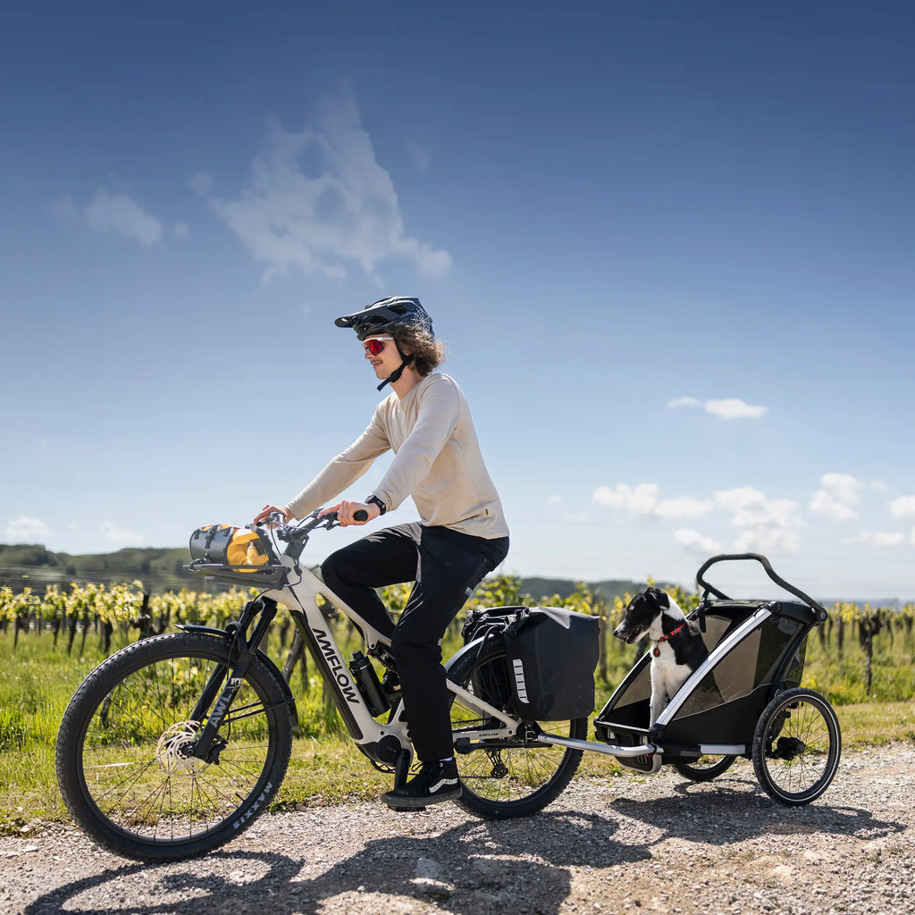 Amflow TL E-SUV Bike