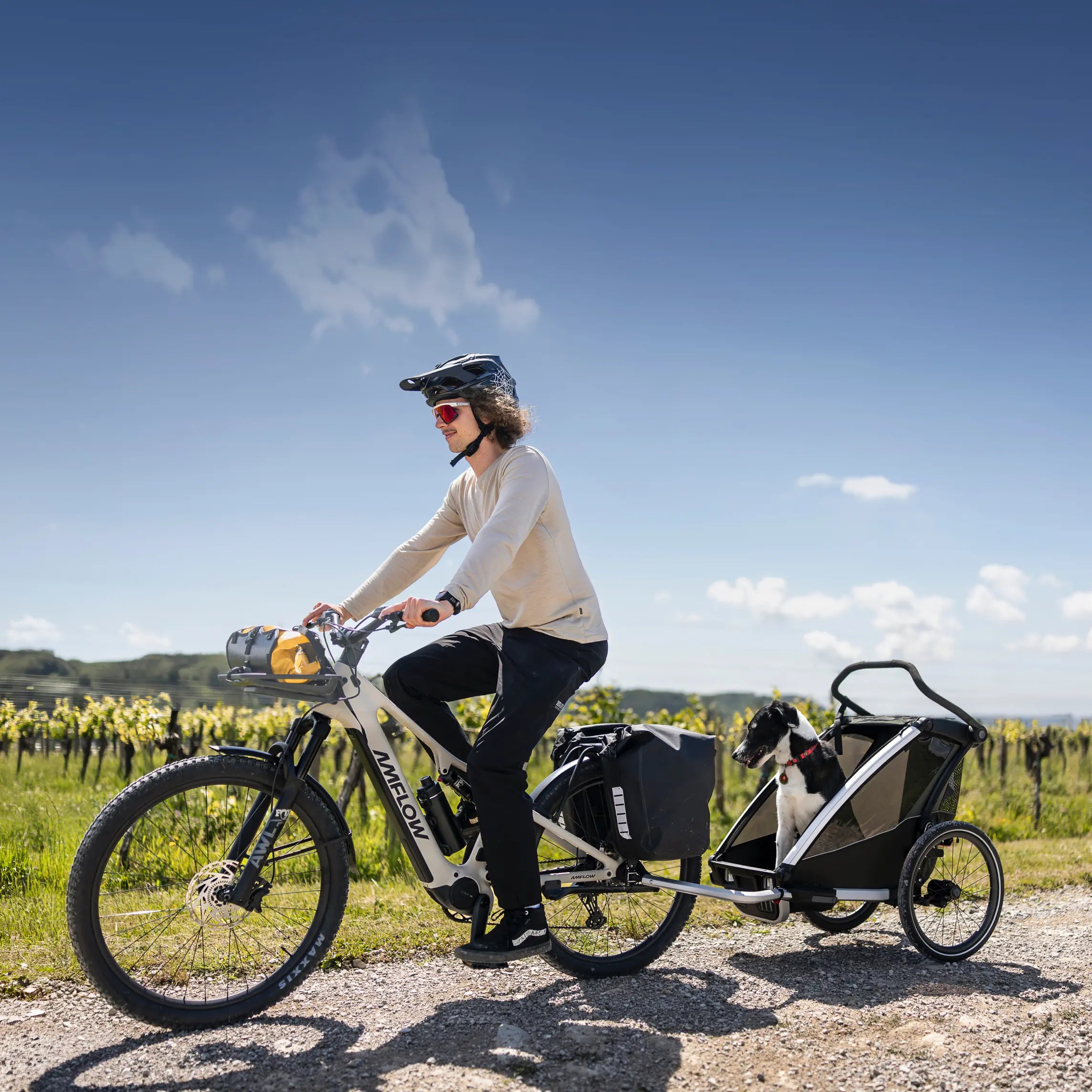 Amflow TL E-SUV Bike